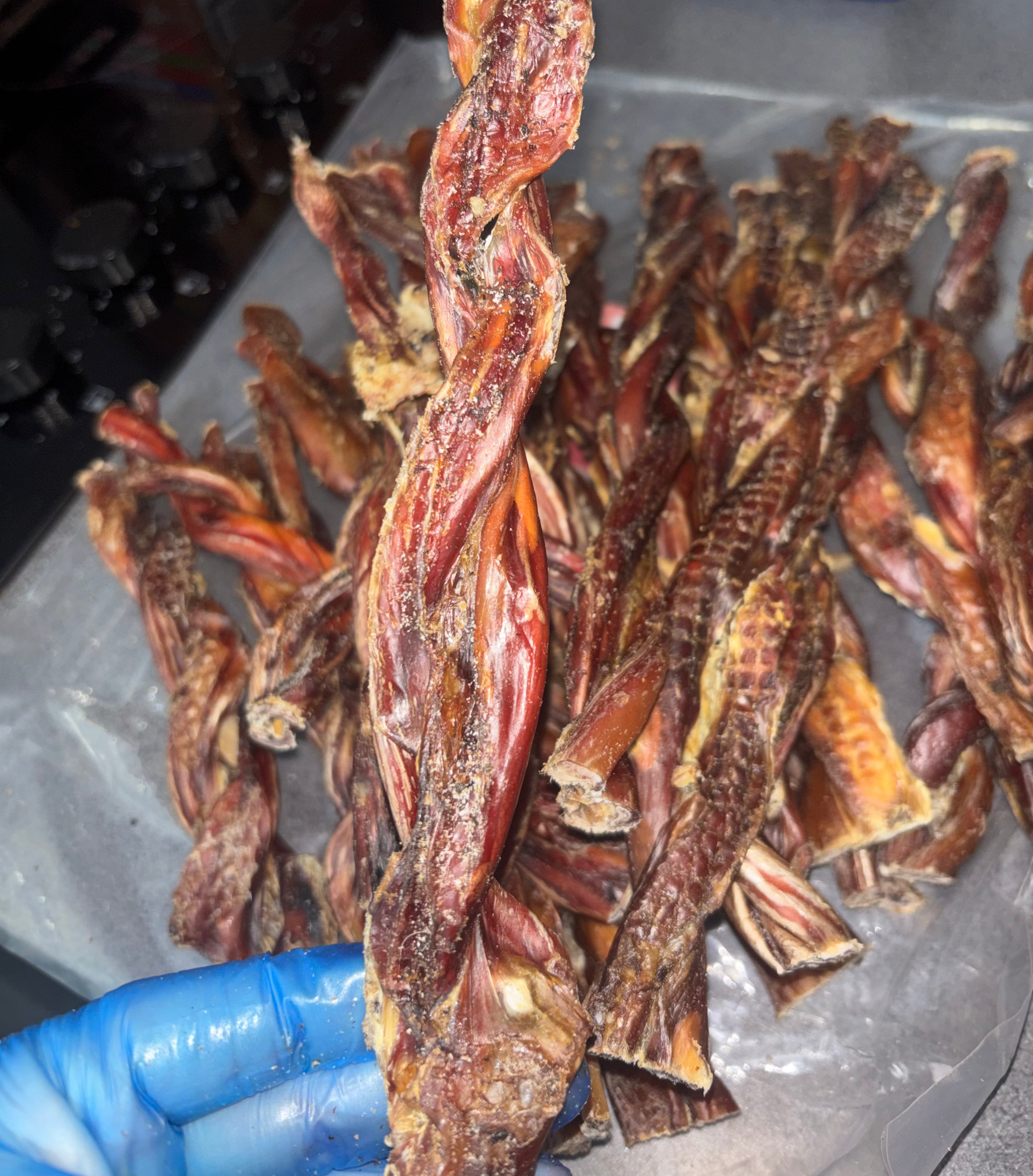 British spiral Bull Pizzles