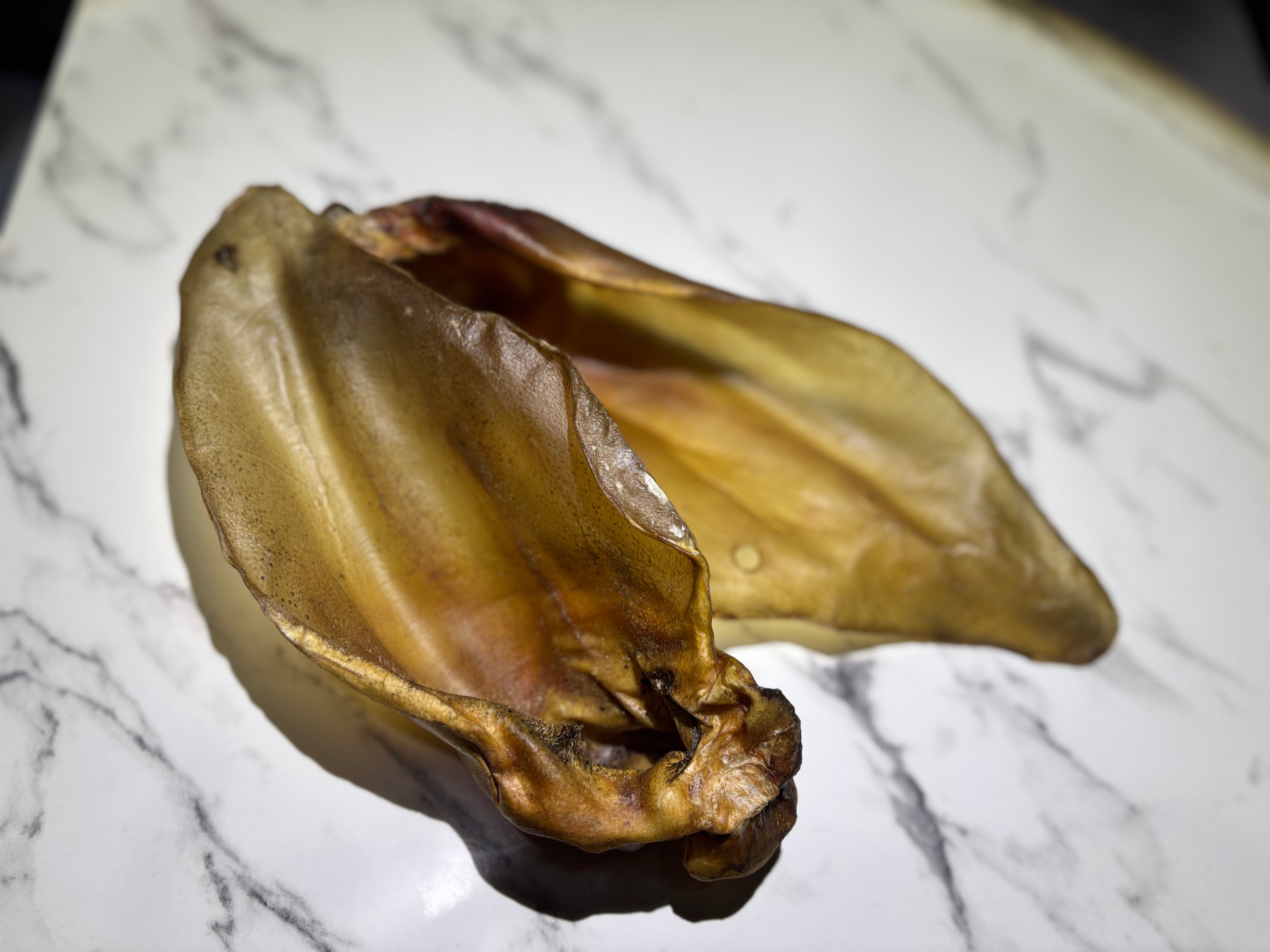 Buffalo Ears without fur