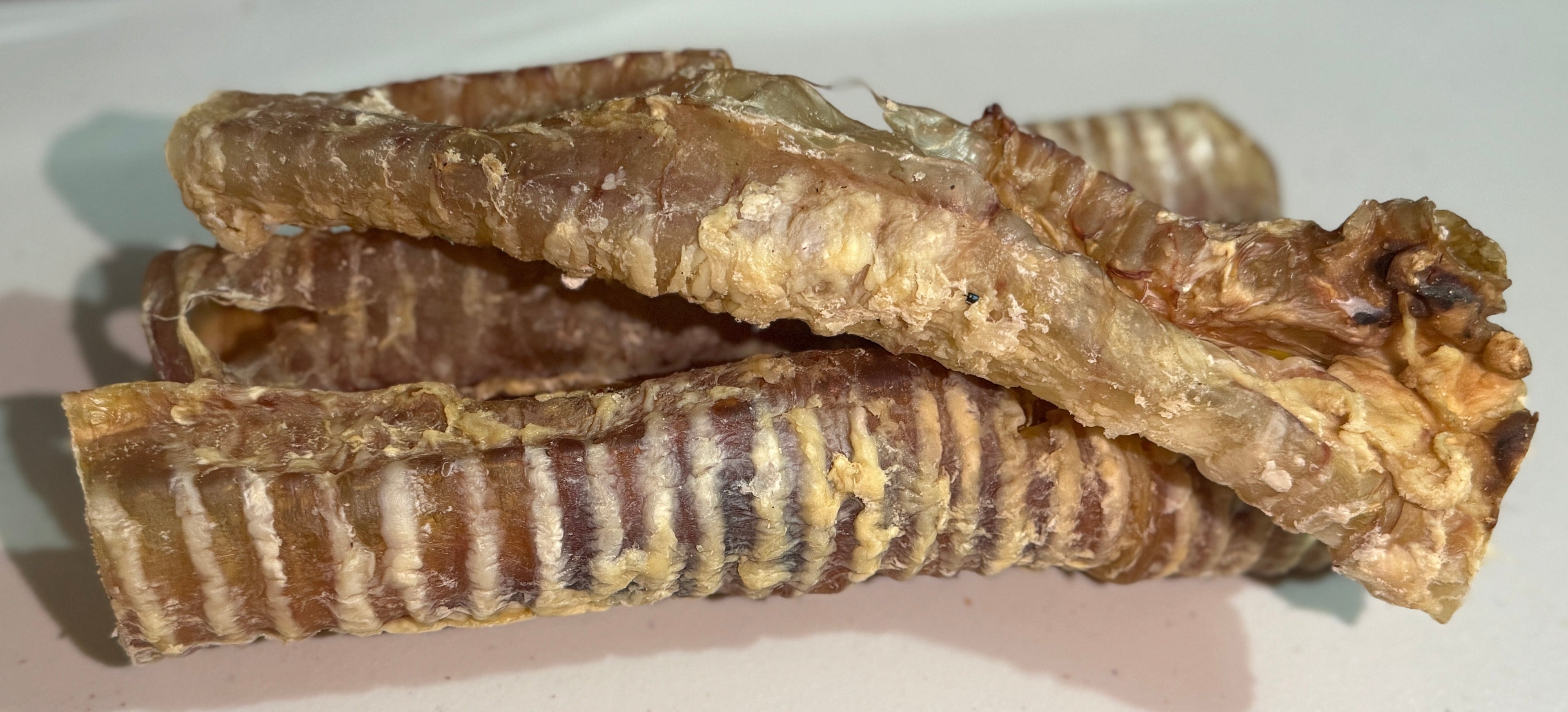 Beef Trachea