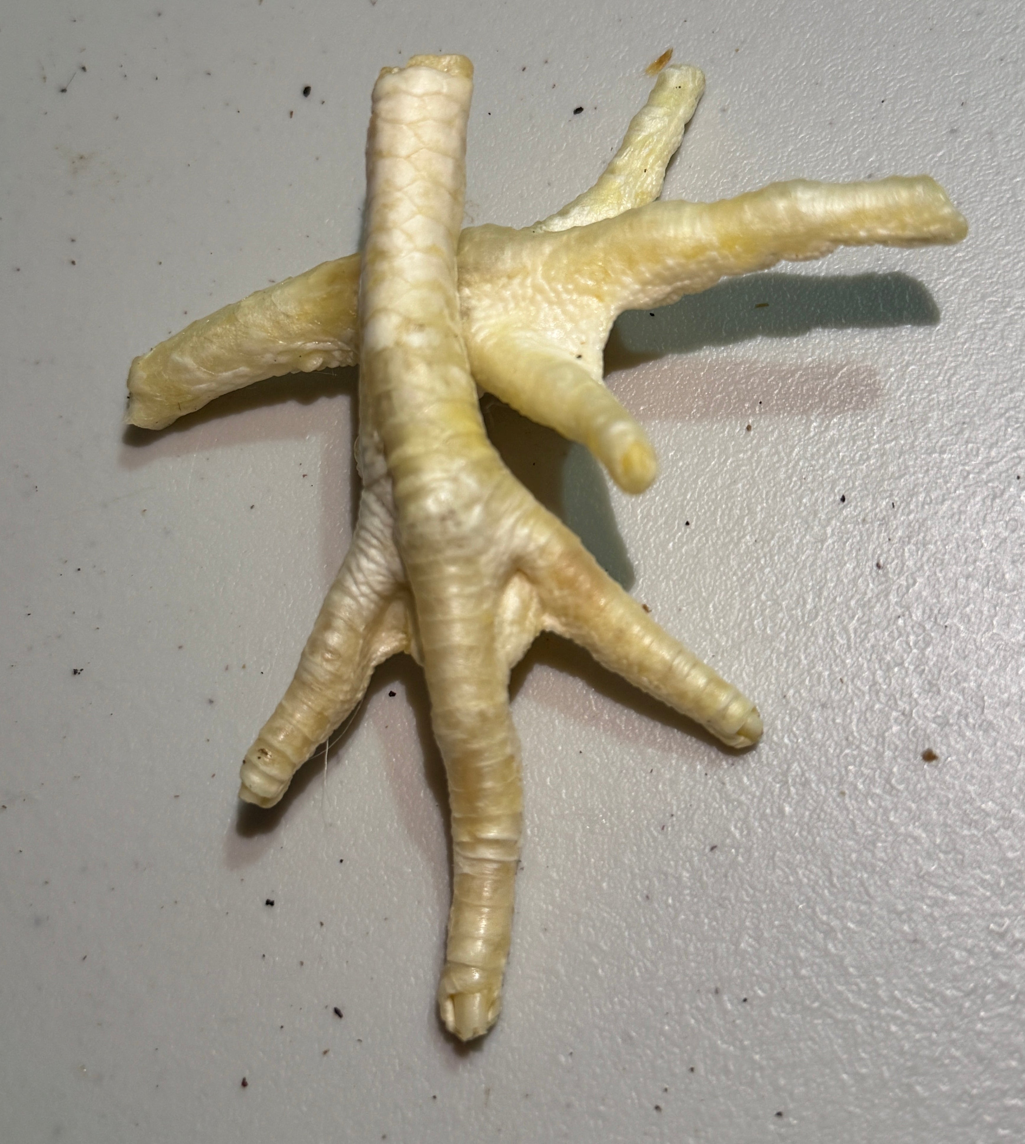 Puffed Chicken Feet