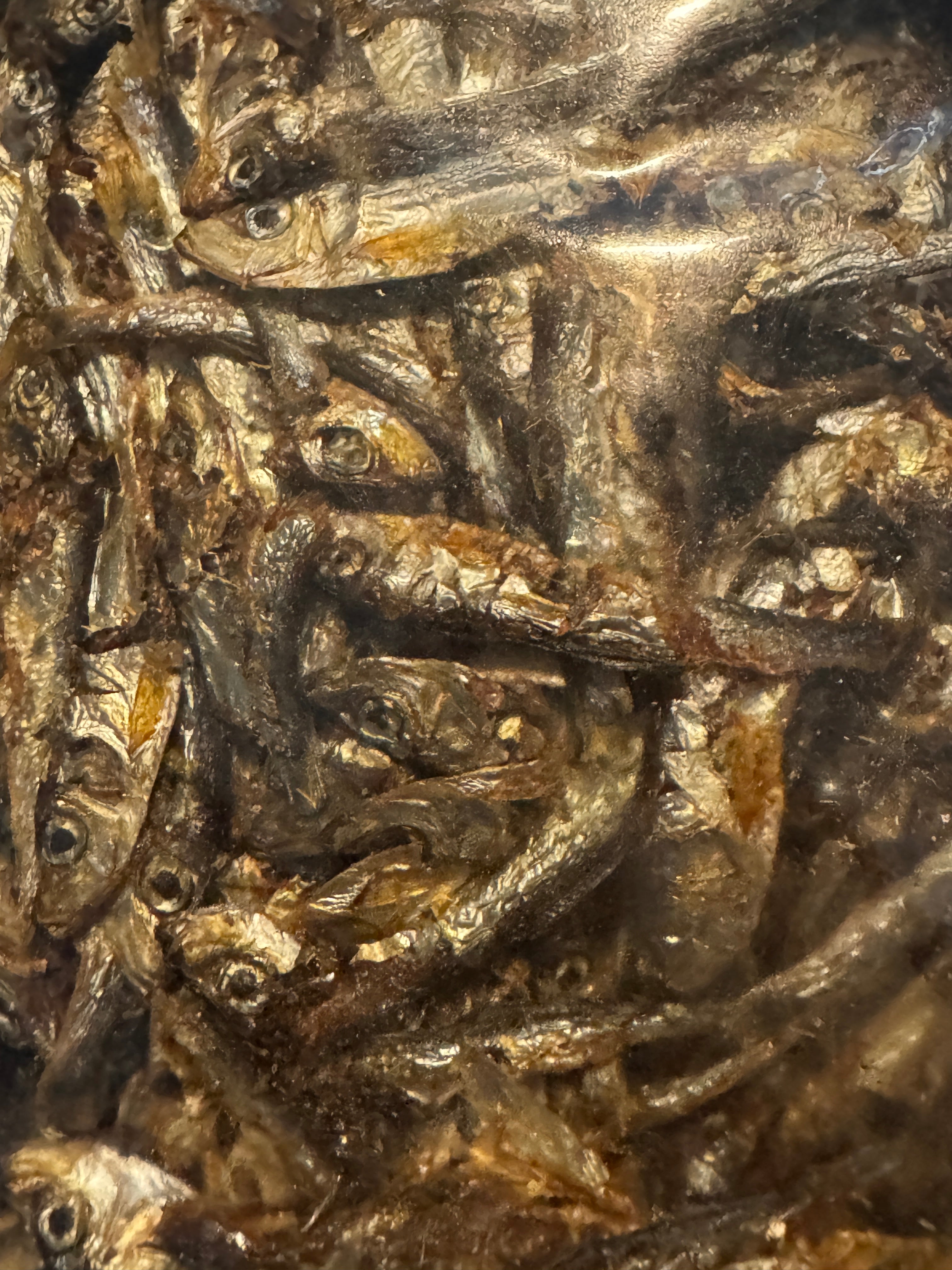 Dried Baltic Sprats
